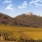 Wine Hike