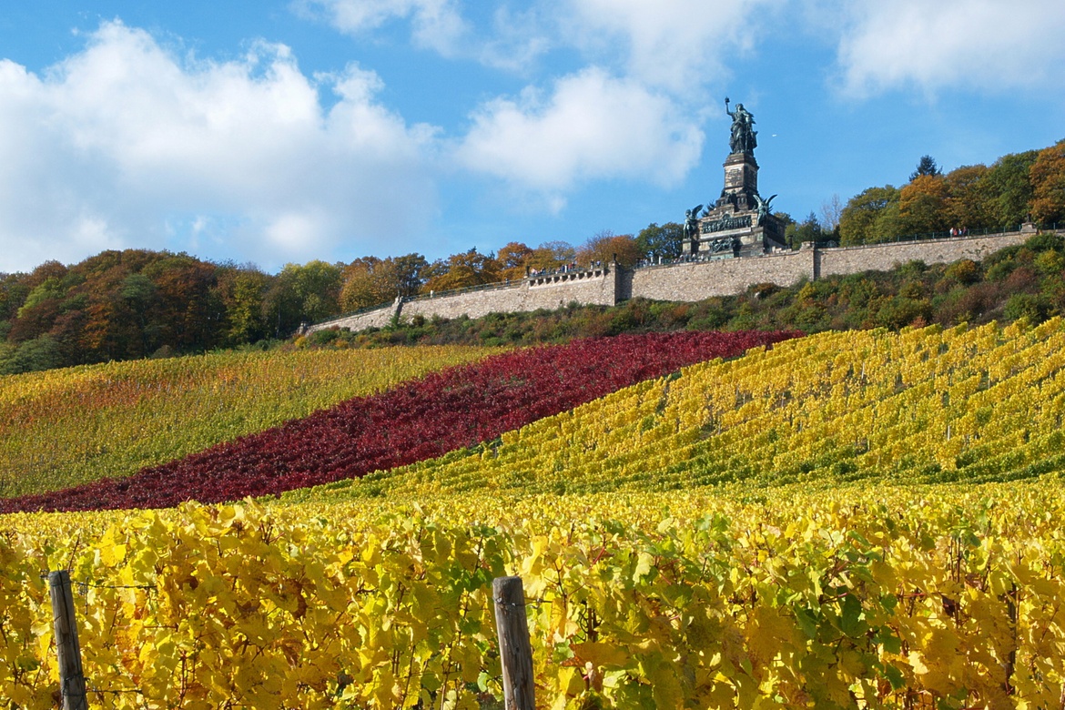 ESN Colorful Autumn Hike 🍂
