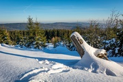 ESN Hike to Altkönig 2