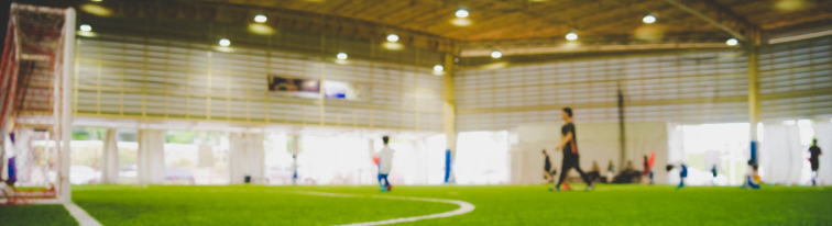 ESN MESA Indoor Football WS24